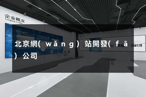 北京網(wǎng)站開發(fā)公司