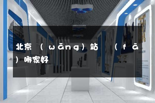 北京網(wǎng)站開發(fā)哪家好