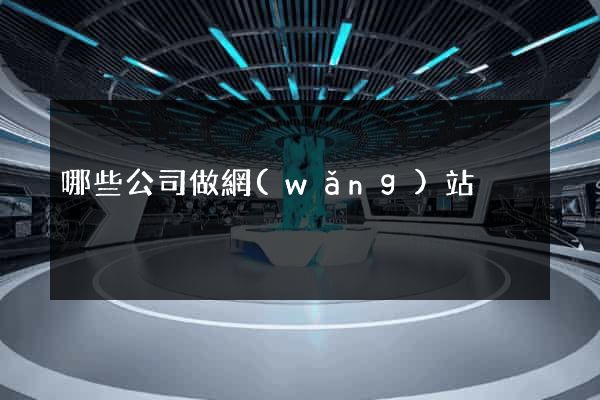 哪些公司做網(wǎng)站