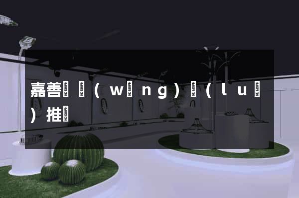 嘉善縣網(wǎng)絡(luò)推廣