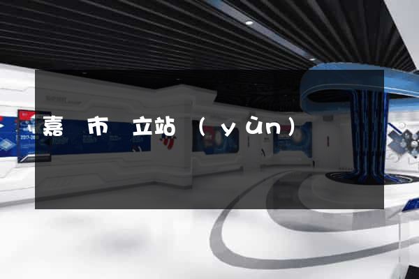 嘉興市獨立站運(yùn)營