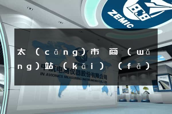 太倉(cāng)市電商網(wǎng)站開(kāi)發(fā)