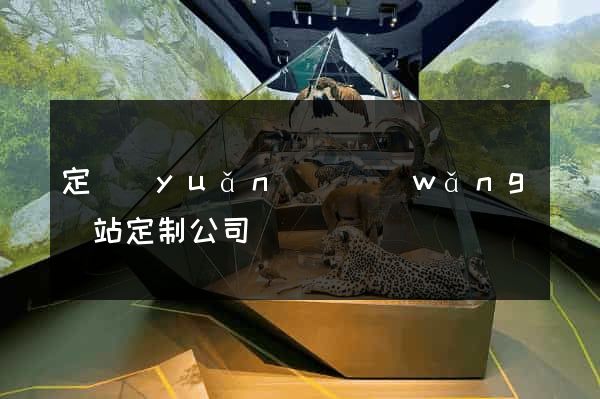 定遠(yuǎn)縣網(wǎng)站定制公司