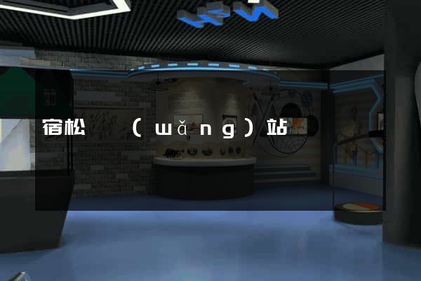 宿松縣網(wǎng)站營銷