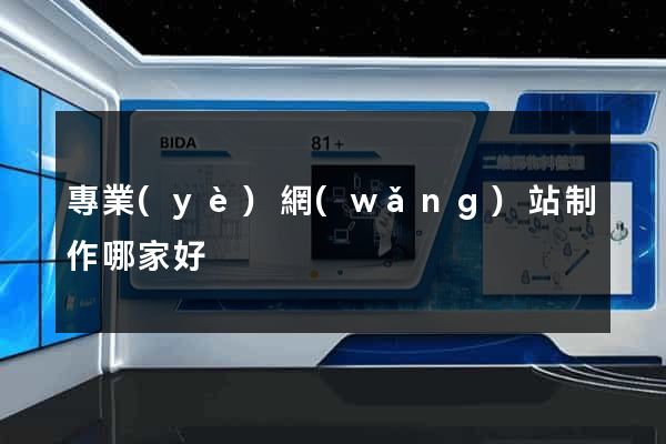 專業(yè)網(wǎng)站制作哪家好