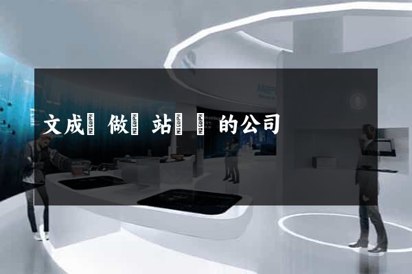 文成縣做網站設計的公司