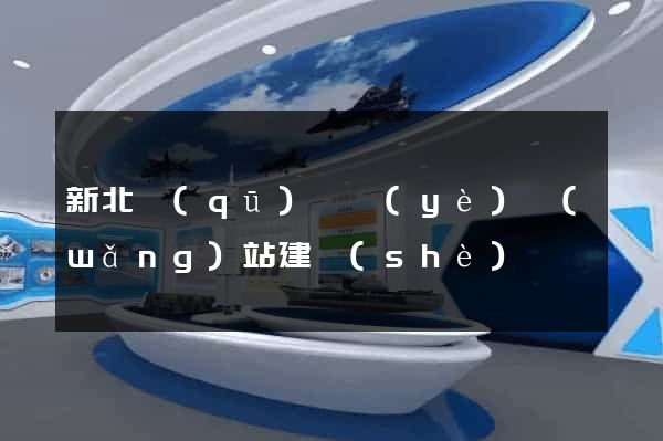 新北區(qū)專業(yè)網(wǎng)站建設(shè)