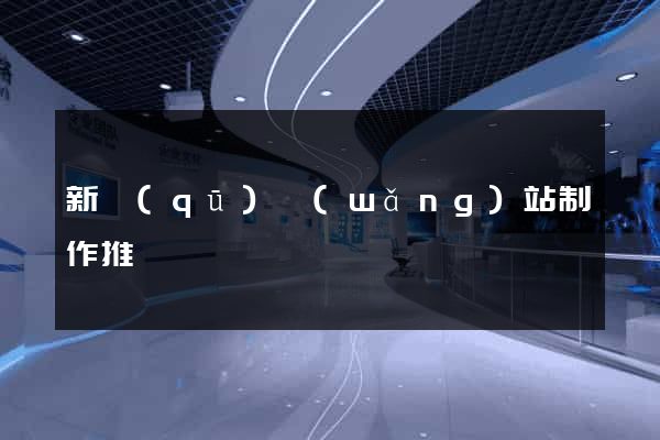 新區(qū)網(wǎng)站制作推廣