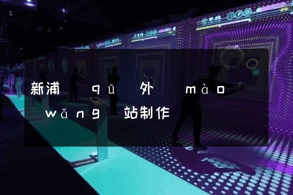 新浦區(qū)外貿(mào)網(wǎng)站制作