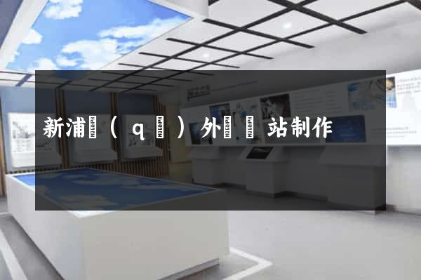 新浦區(qū)外貿網站制作