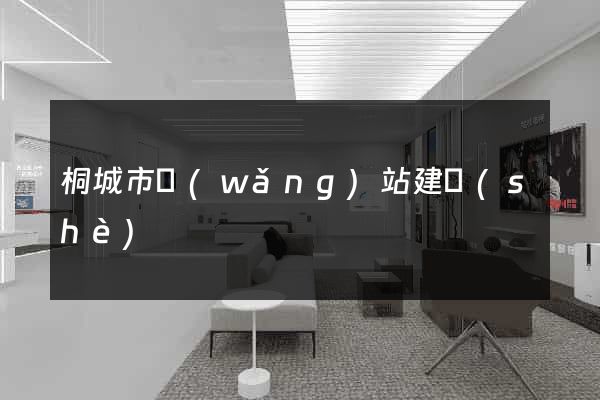 桐城市網(wǎng)站建設(shè)