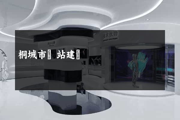 桐城市網站建設