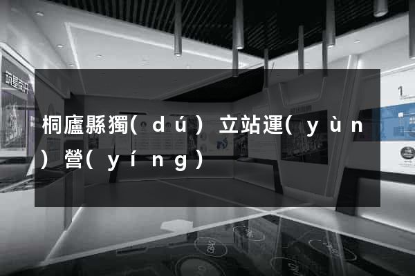 桐廬縣獨(dú)立站運(yùn)營(yíng)