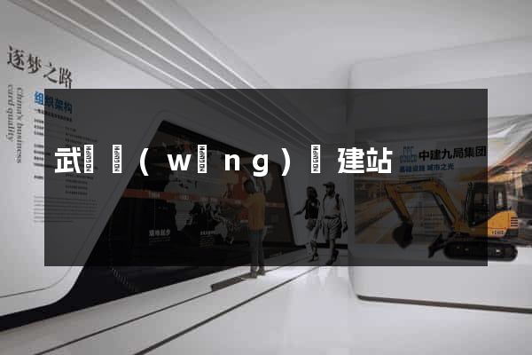 武漢網(wǎng)絡建站