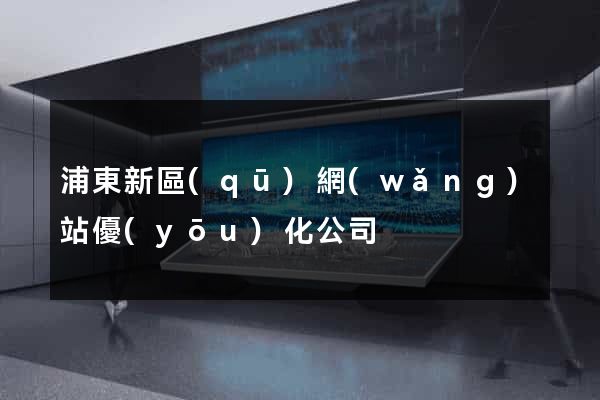 浦東新區(qū)網(wǎng)站優(yōu)化公司