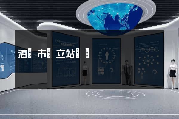 海門市獨立站運營