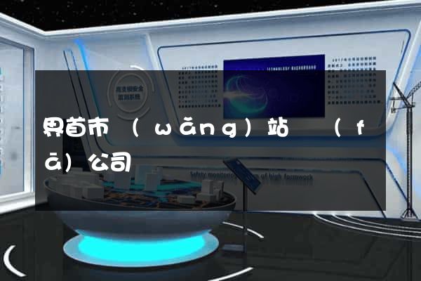 界首市網(wǎng)站開發(fā)公司