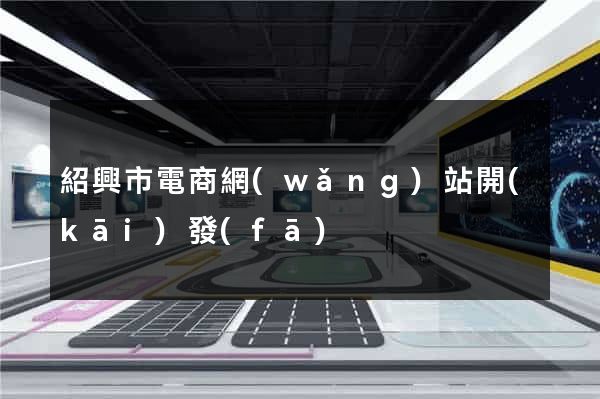 紹興市電商網(wǎng)站開(kāi)發(fā)