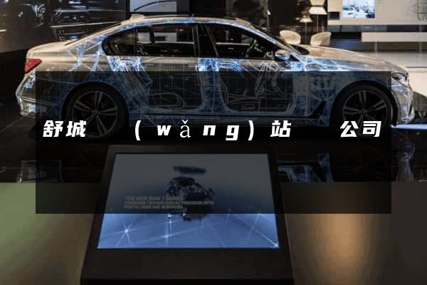 舒城縣網(wǎng)站設計公司