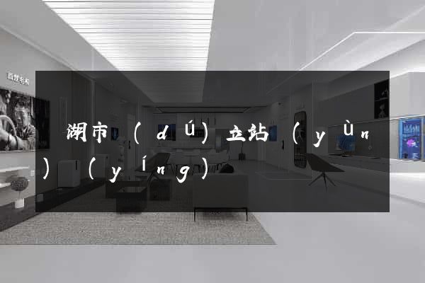 蕪湖市獨(dú)立站運(yùn)營(yíng)