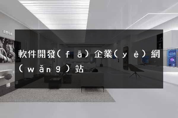 軟件開發(fā)企業(yè)網(wǎng)站