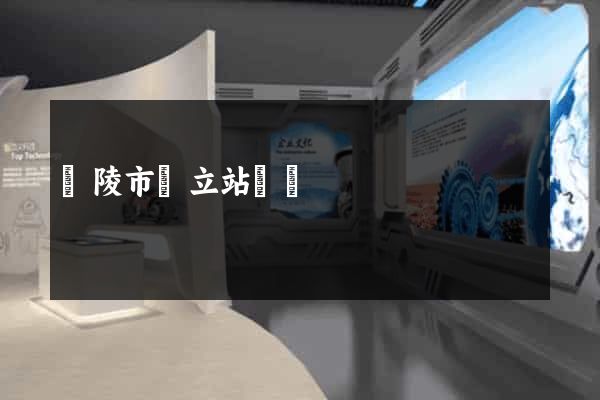 銅陵市獨立站運營