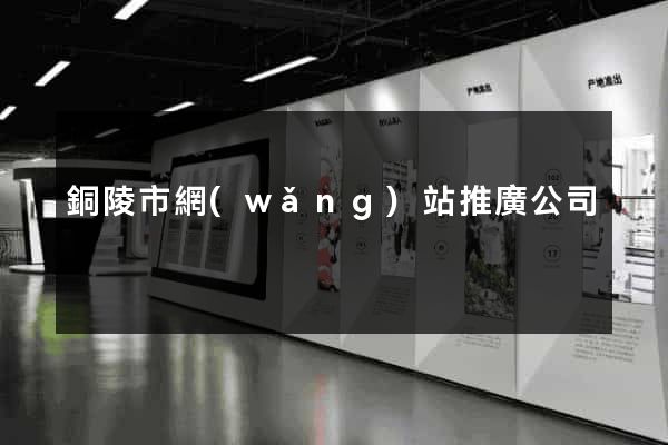 銅陵市網(wǎng)站推廣公司