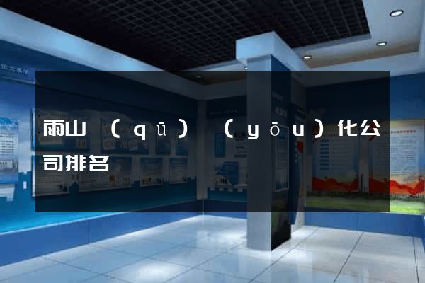 雨山區(qū)優(yōu)化公司排名