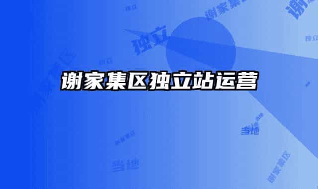 謝家集區(qū)獨(dú)立站運(yùn)營