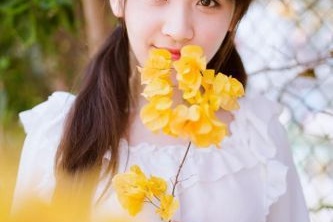 網(wǎng)頁(yè)制作web